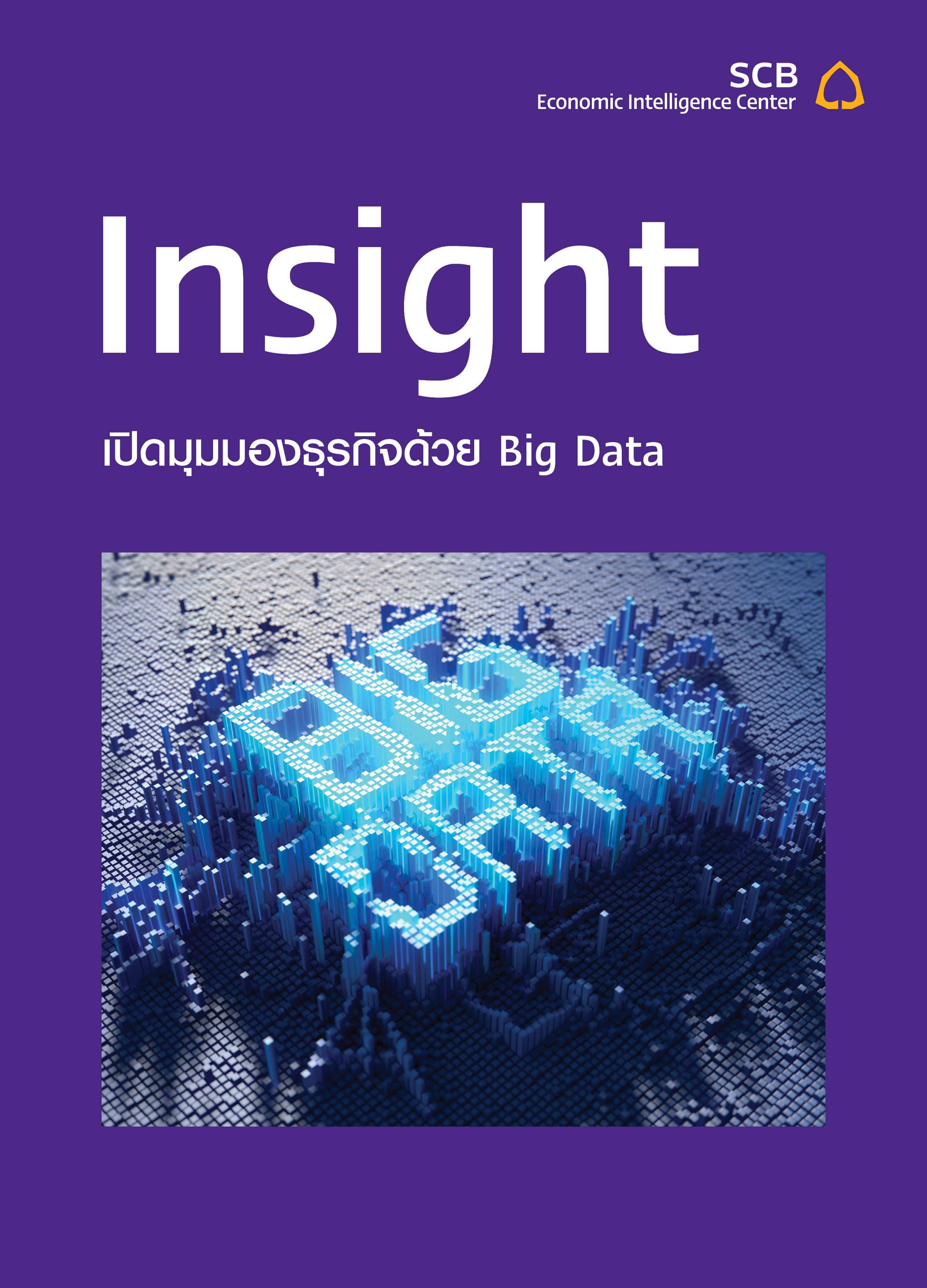 EIC_Insight_Bigdata_Cover.jpg