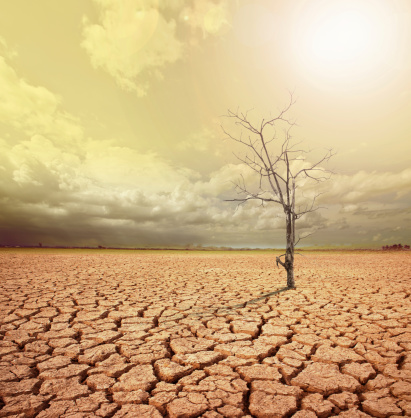 ThinkstockPhotos-177871640.jpg